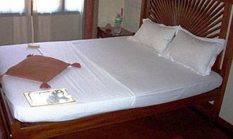 Hotel Golden Lodge, Jammu 1